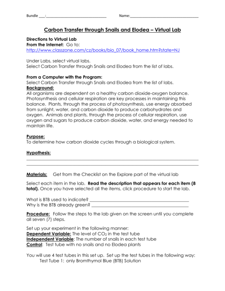 Carbon Transfer Through Snails And Elodea – Virtual Lab