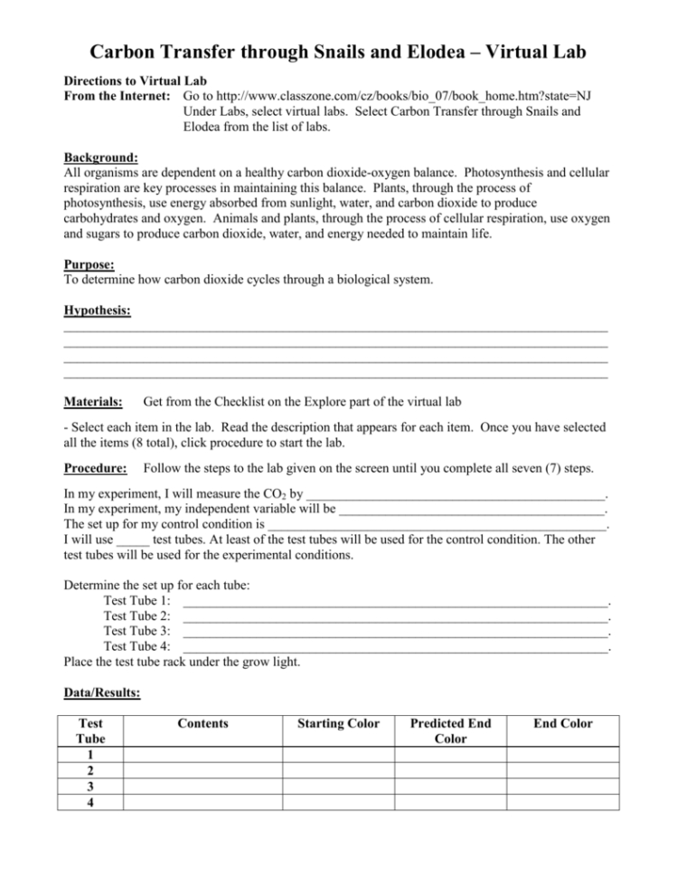 Carbon Transfer Through Snails And Elodea – Virtual Lab