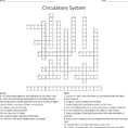 Cardiovascular System  Chapter 5 Crossword  Word