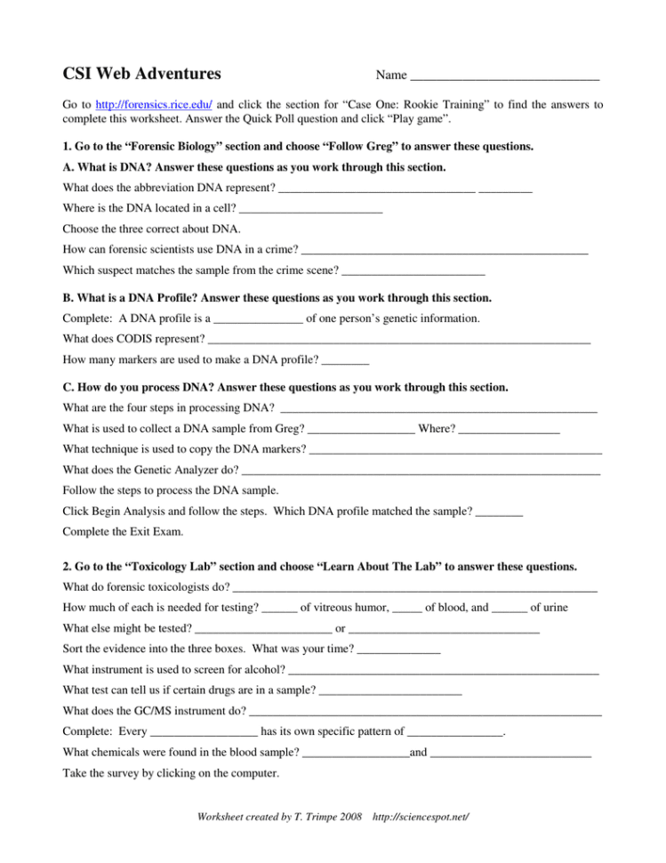Case 1  Csi Web Adventures