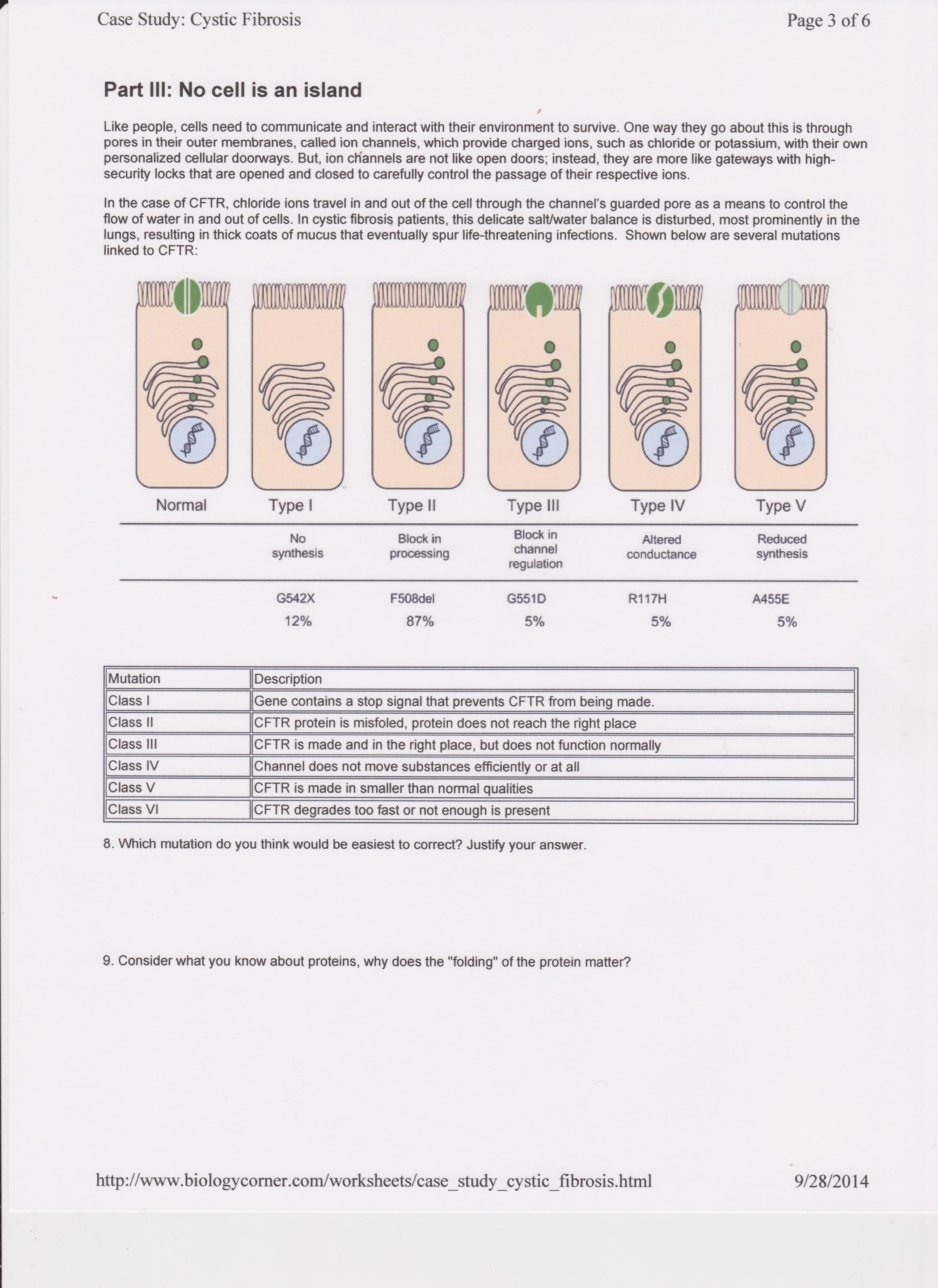 Case Study Cystic Fibrosis Worksheet Answers