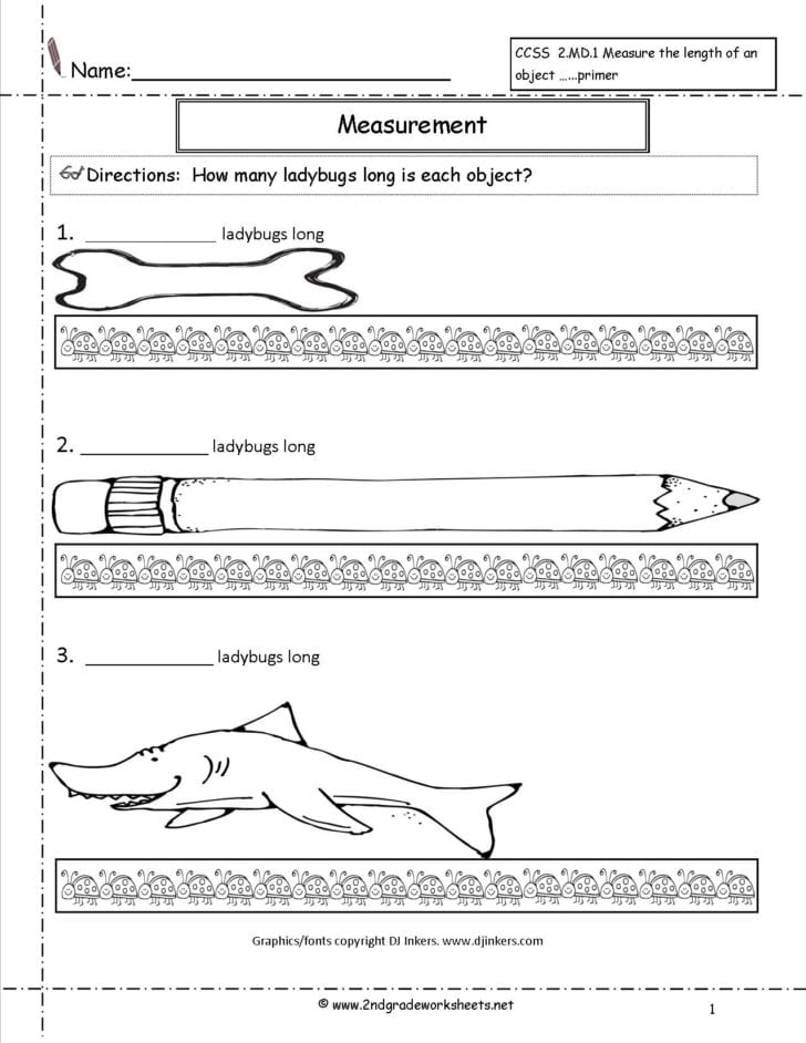 Reading A Tape Measure Worksheet Answers