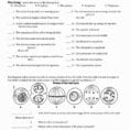Cell Activity Worksheet