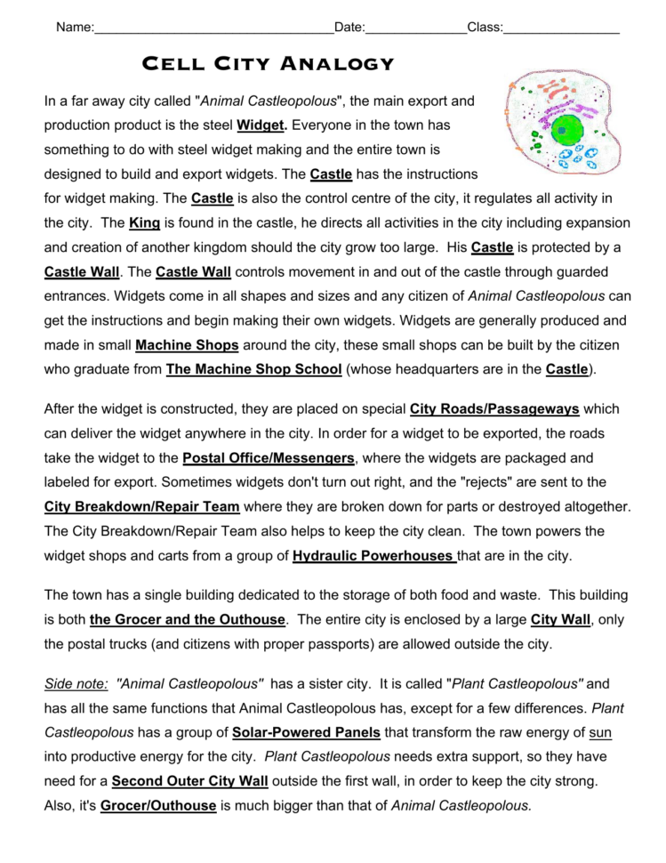Cell City Analogy
