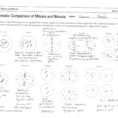 Cell Cycle And Mitosis Coloring Worksheet Answers – Cortexcolorco