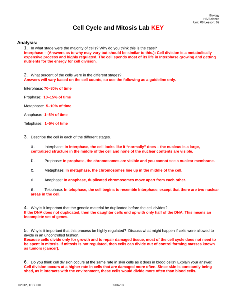 Cell Cycle And Mitosis Investigation Key