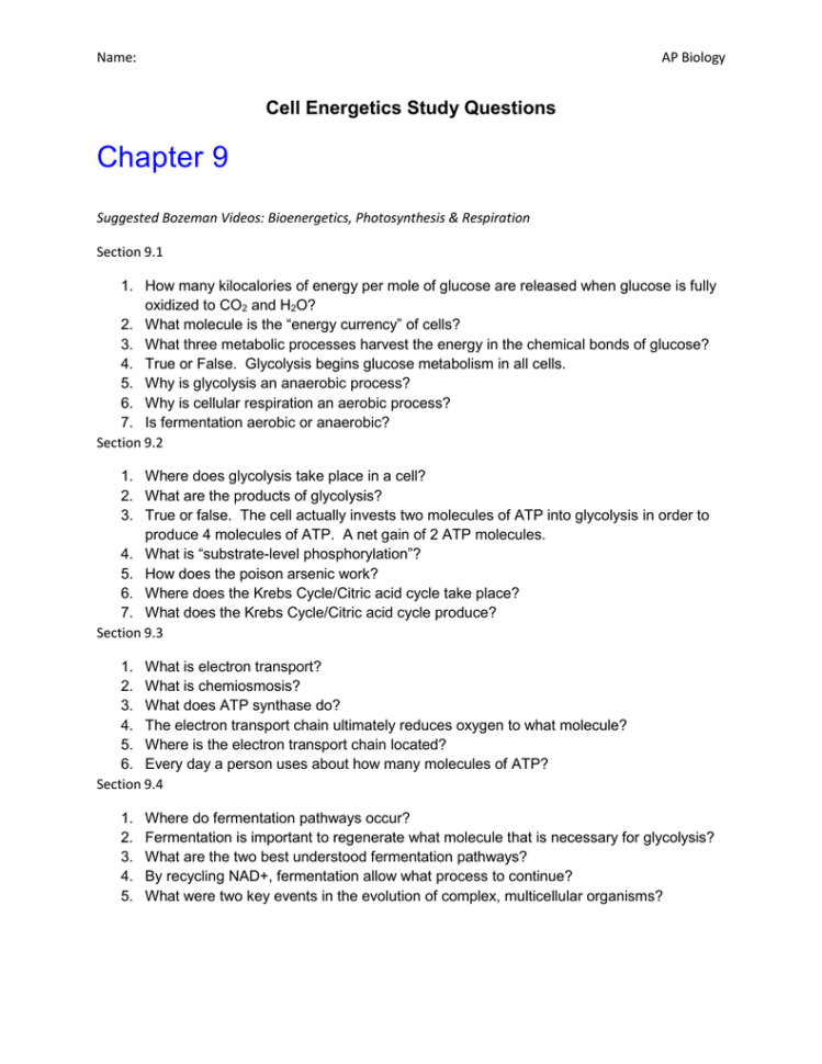 Cell Energetics Study Questions