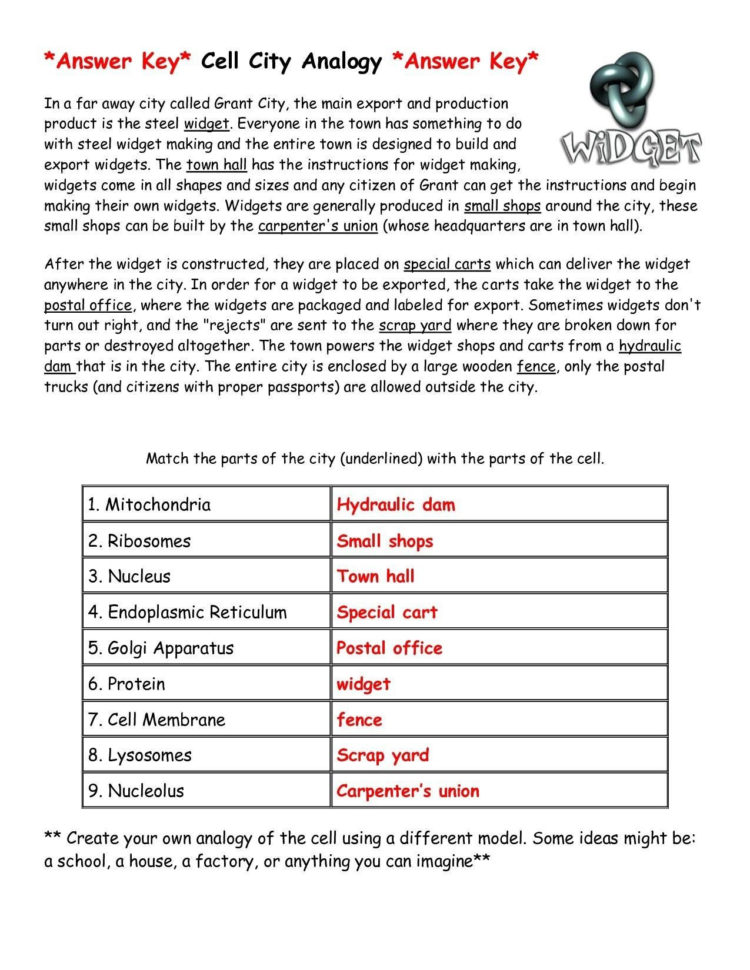 Cell Membrane And Transport Worksheet Answers