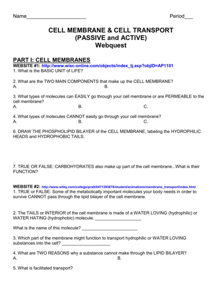Cell Membrane  Cell Transport Passive And Active