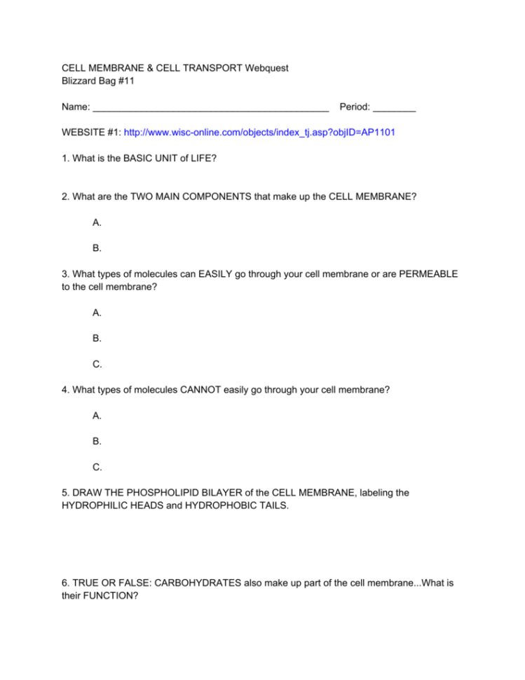 Cell Membrane  Cell Transport Webquest Blizzard Bag