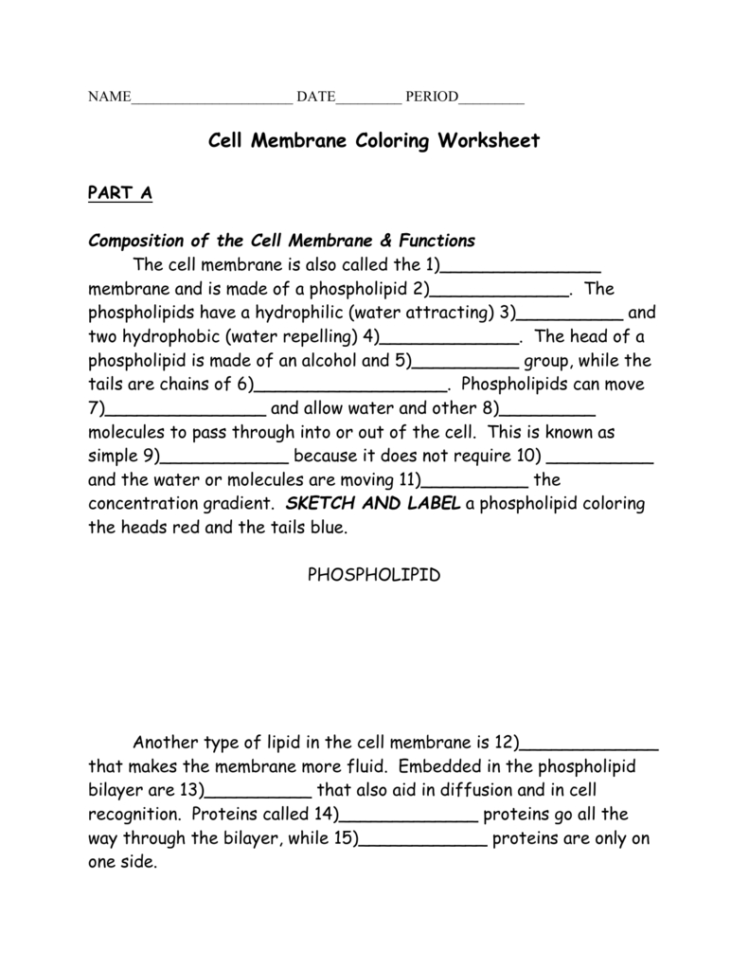 Cell Membrane Coloring