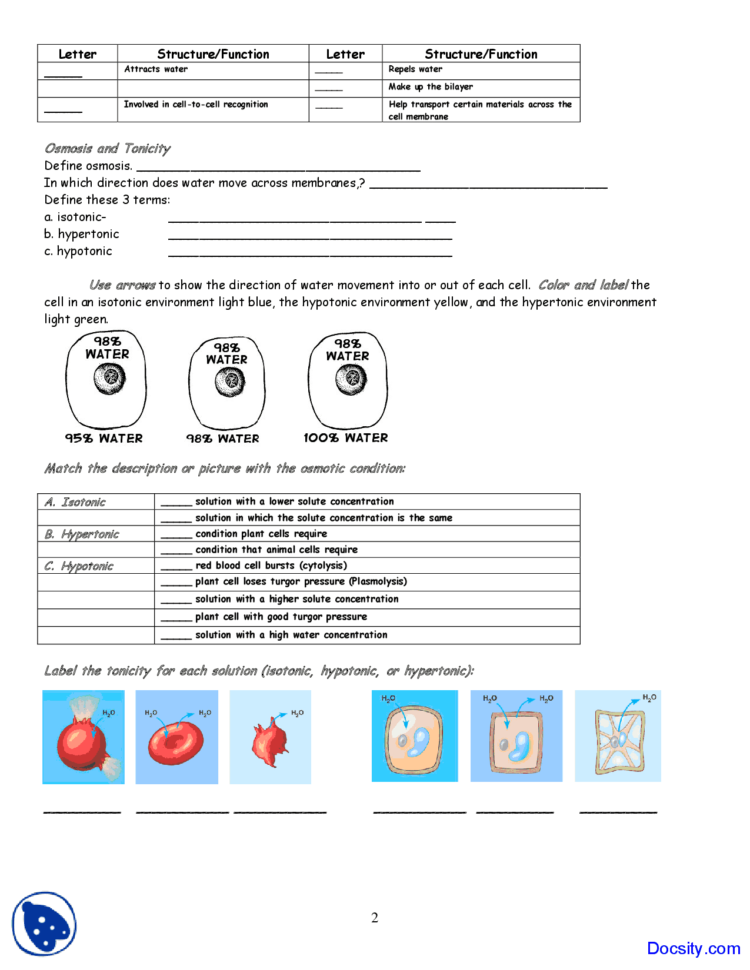 Cell Membrane Coloring  Application Of Biology  Assignment  Docsity
