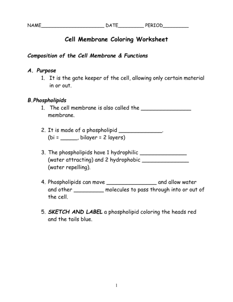 Cell Membrane Coloring Worksheet Composition Of The Cell