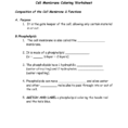 Cell Membrane Coloring Worksheet Composition Of The Cell