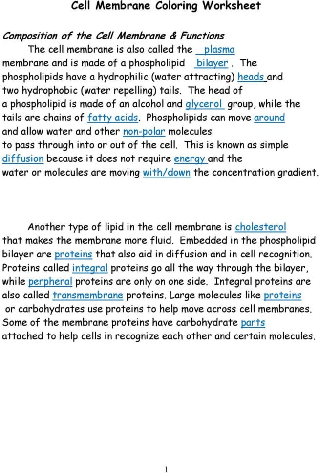 Cell Membrane Coloring Worksheet  Pdf
