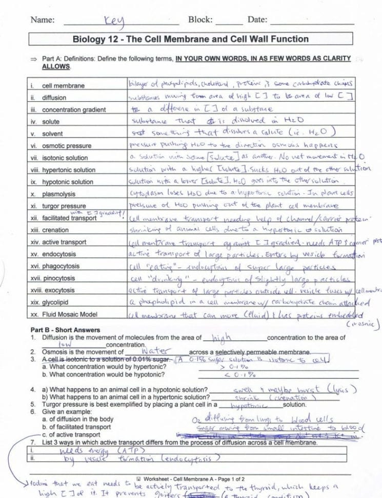 Cell Membrane Worksheet Answers Behr John Biology Chapter