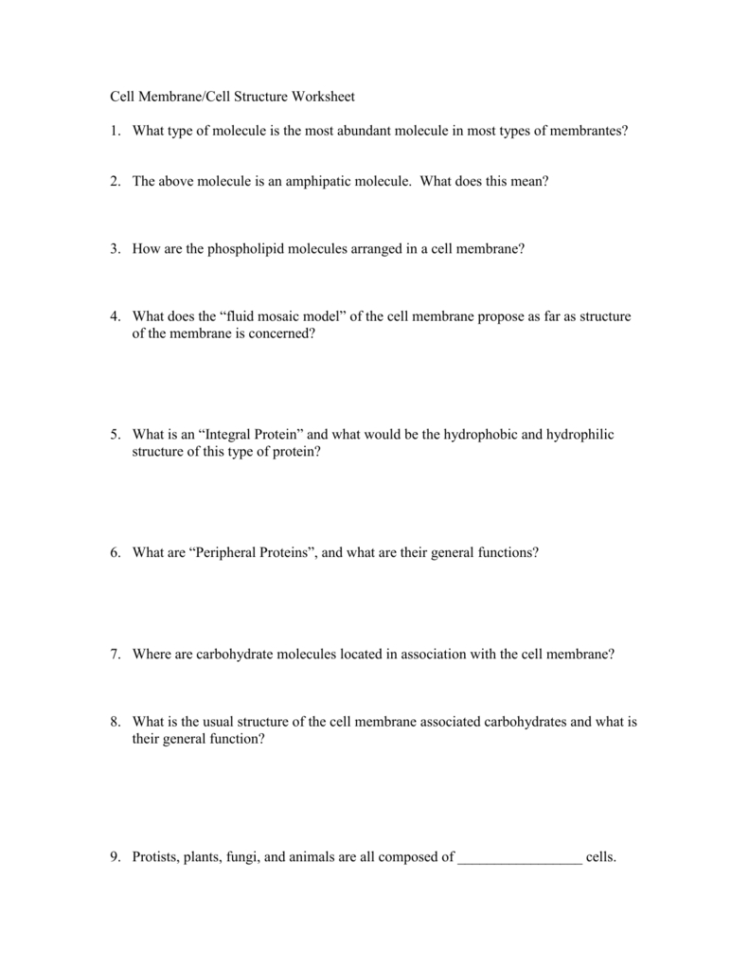 Cell Membranecell Structure Worksheet