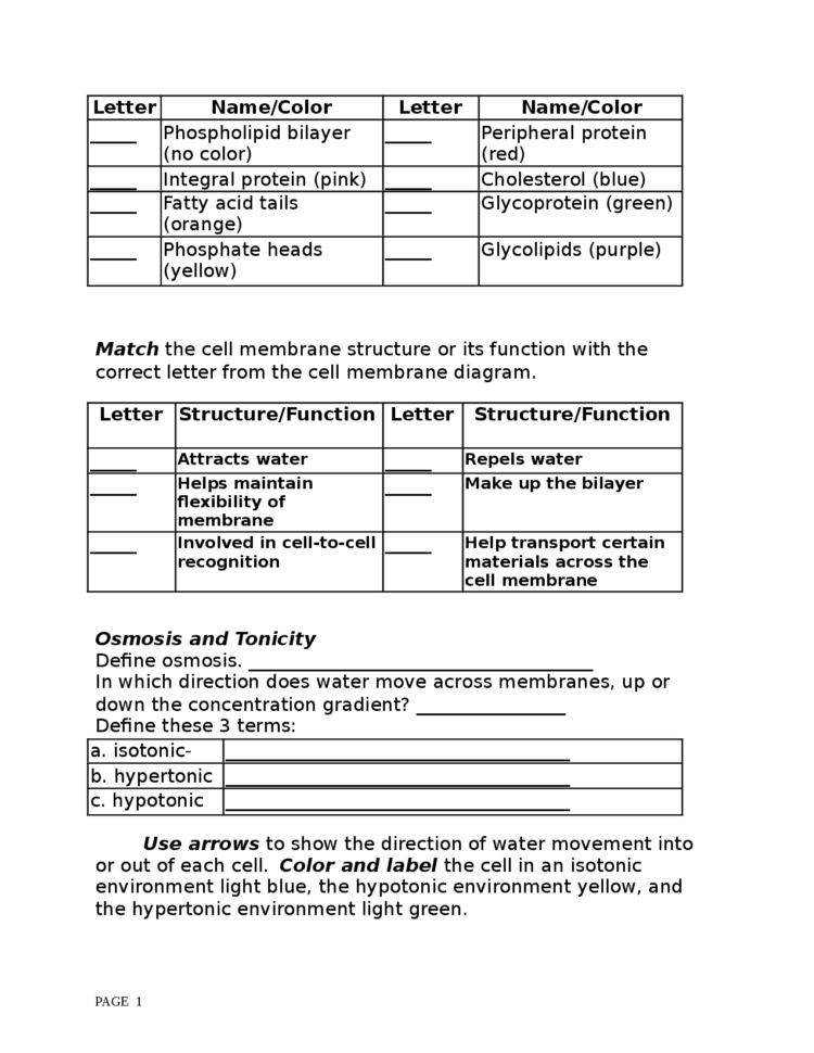 Cell Membranes Worksheet  Docsity