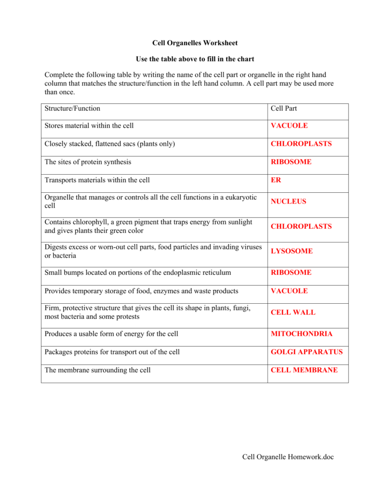 Cell Organelle Homeworkdoc Cell Organelles Worksheet