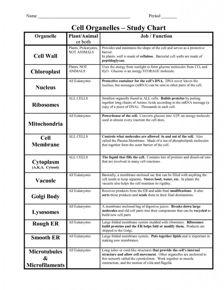 Cell Organelles And Their Functions Worksheet Answers