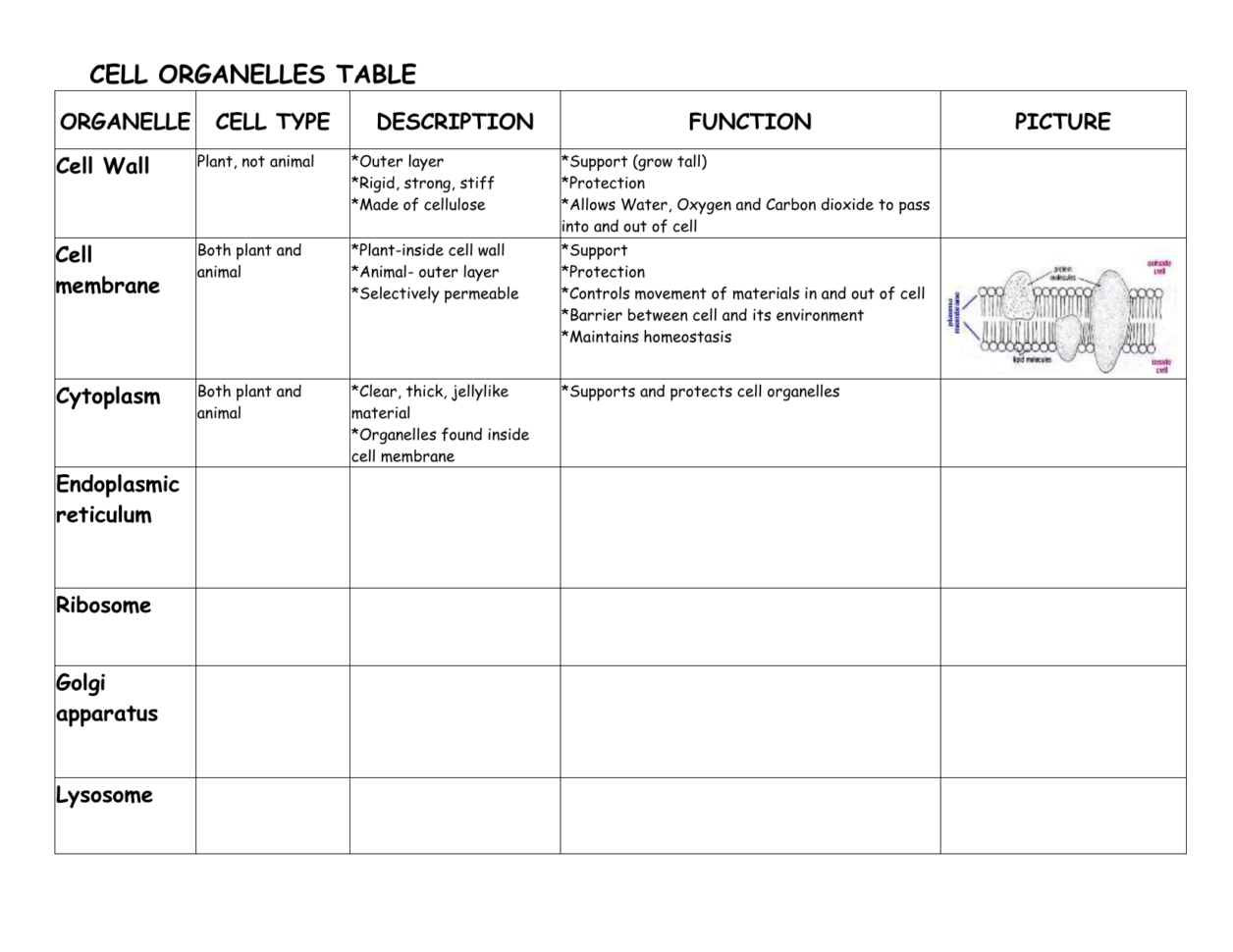 Cell Organelles Table Worksheet