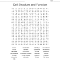 Cell Organelles Word Search  Word