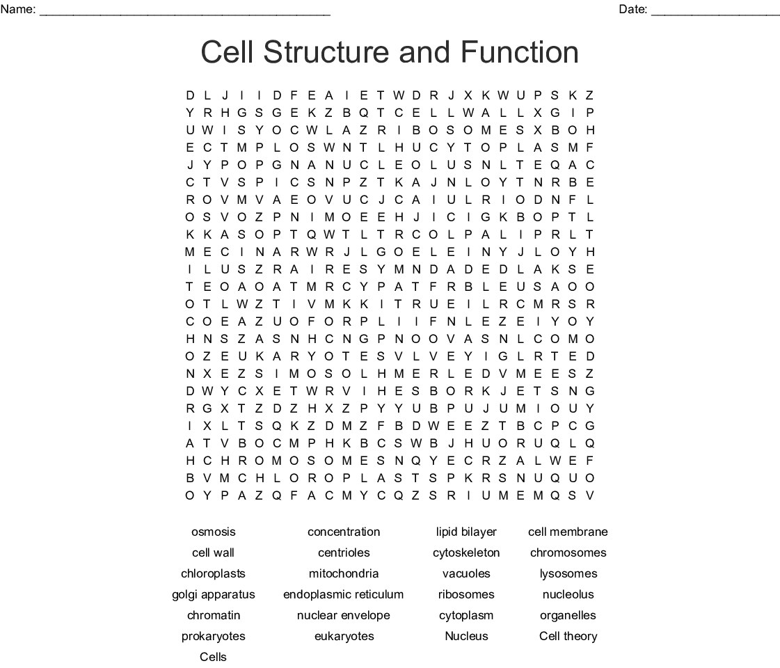 Cell Organelles Word Search Word Db excel