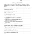 Cell Organelles Worksheet 2