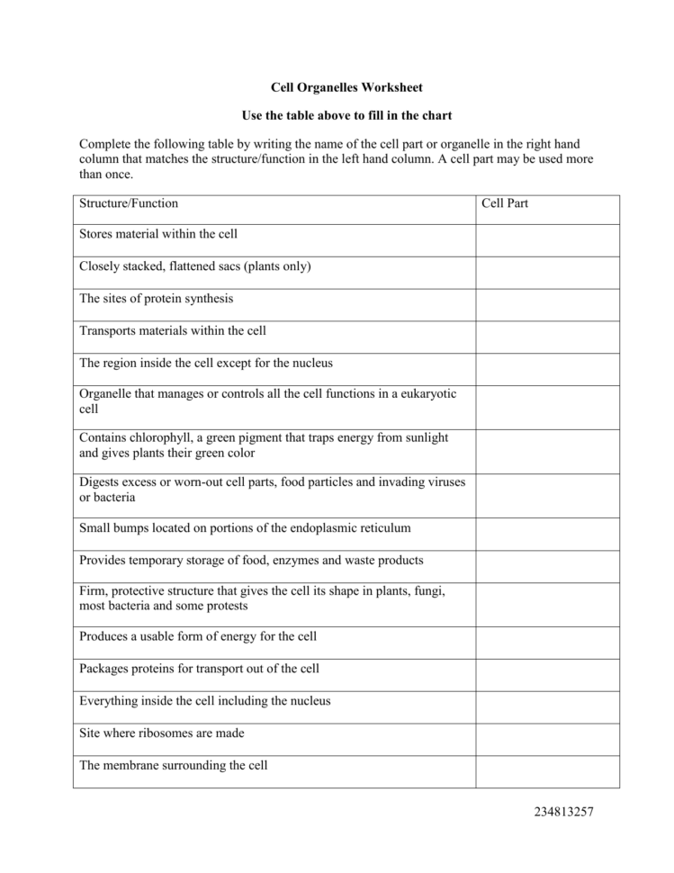 Cell Organelles Worksheet