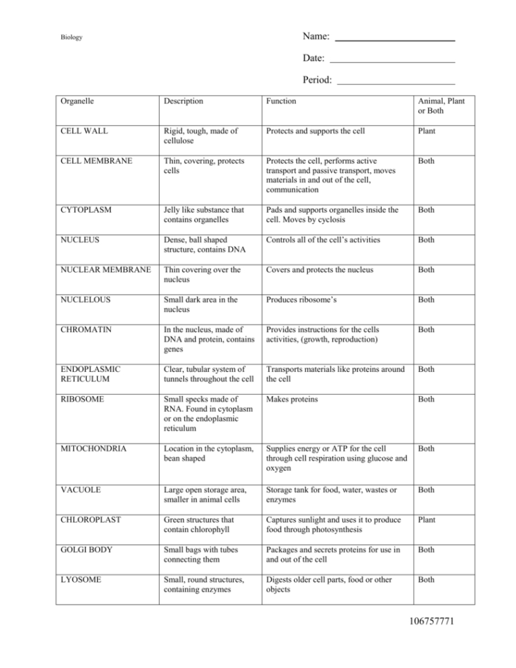 Inside The Cell Worksheet Answers Db excel