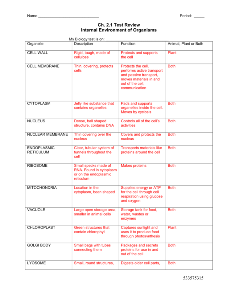 Cell Organelles And Their Functions Worksheet Answers — db-excel.com