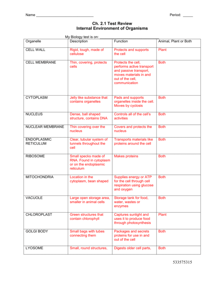 Cell Organelles Worksheet