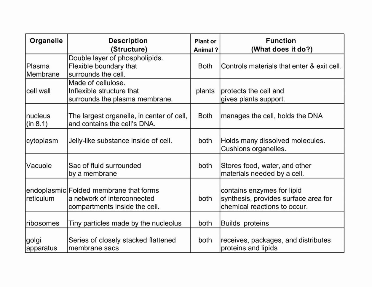 Cell Organelles Worksheet Answer Key