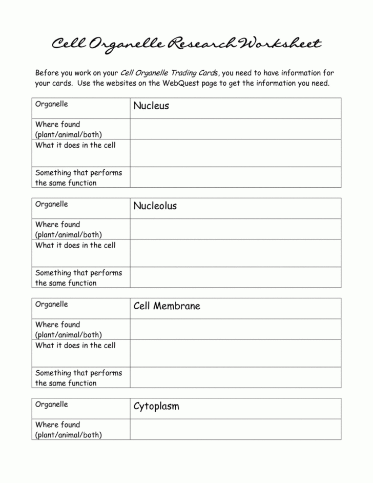 Cells And Organelles Worksheet Answer Key