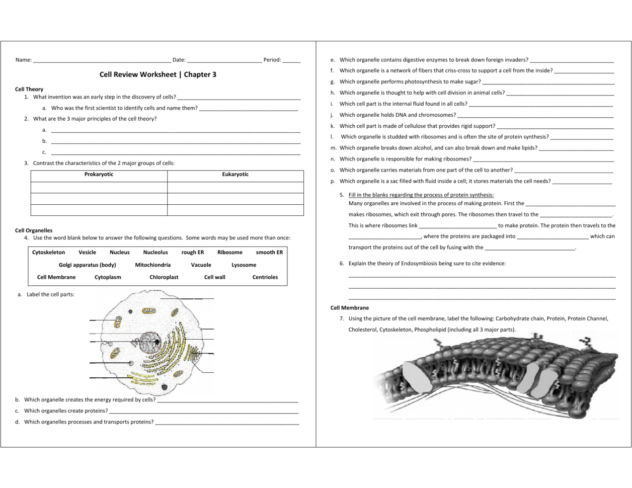 Cell Review Worksheet  Chapter 3