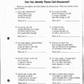 Cell Review Worksheet Fraction Worksheets Order Of