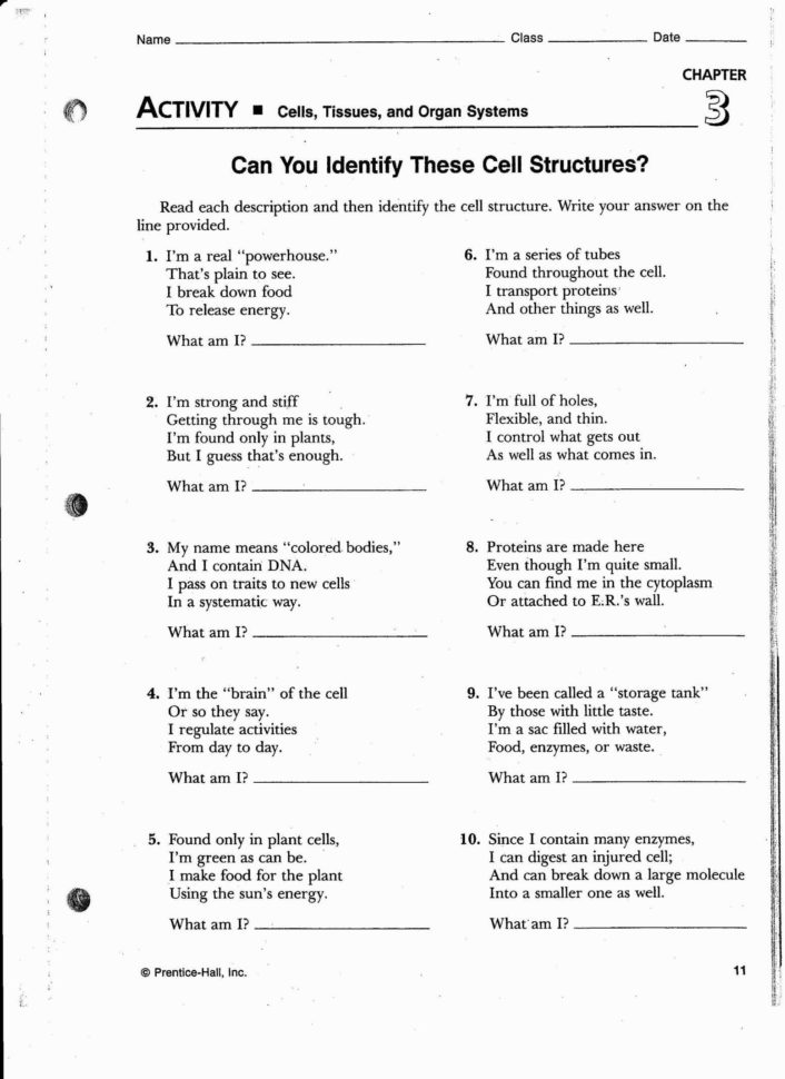 Cell Review Worksheet Fraction Worksheets Order Of
