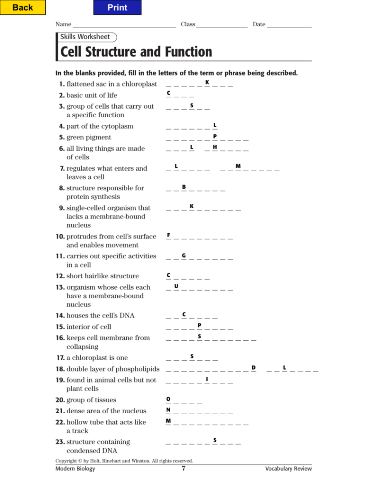 Cell Structure And Function Vocabulary