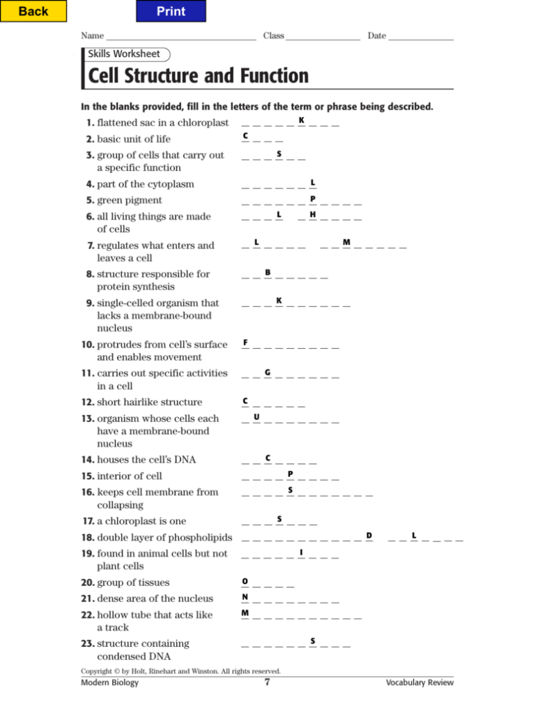 Cell Structure And Function Worksheet Answers — db-excel.com