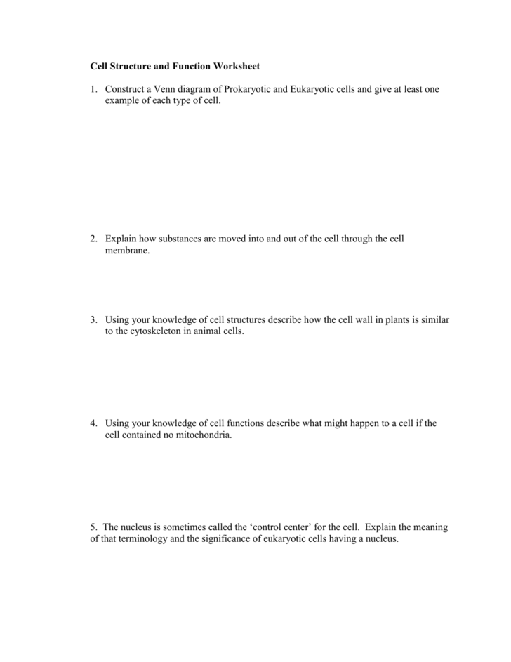 Cellular Structure And Function Worksheet
