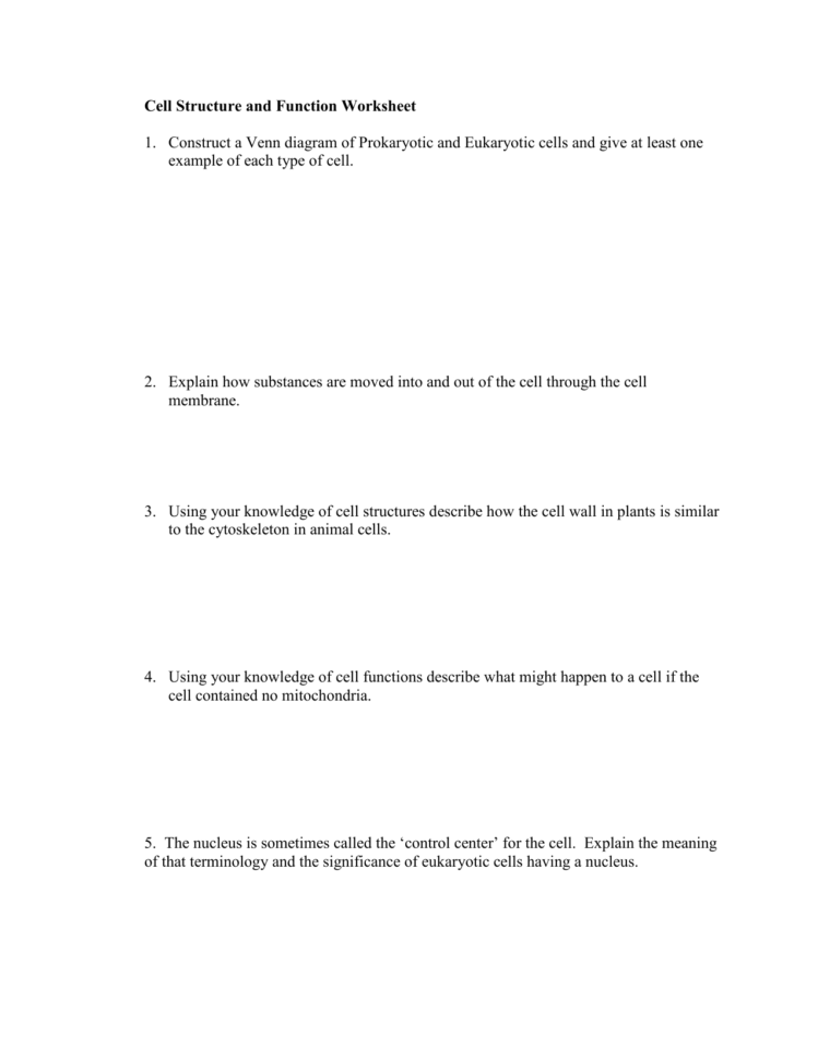 Cell Structure And Function Worksheet