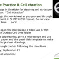 Cell Structures And Es  Ppt Video Online Download