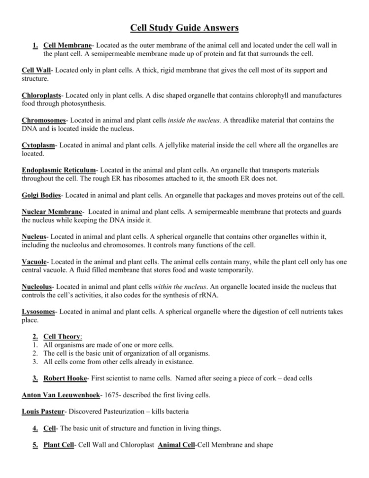 Cell Study Guide Answers