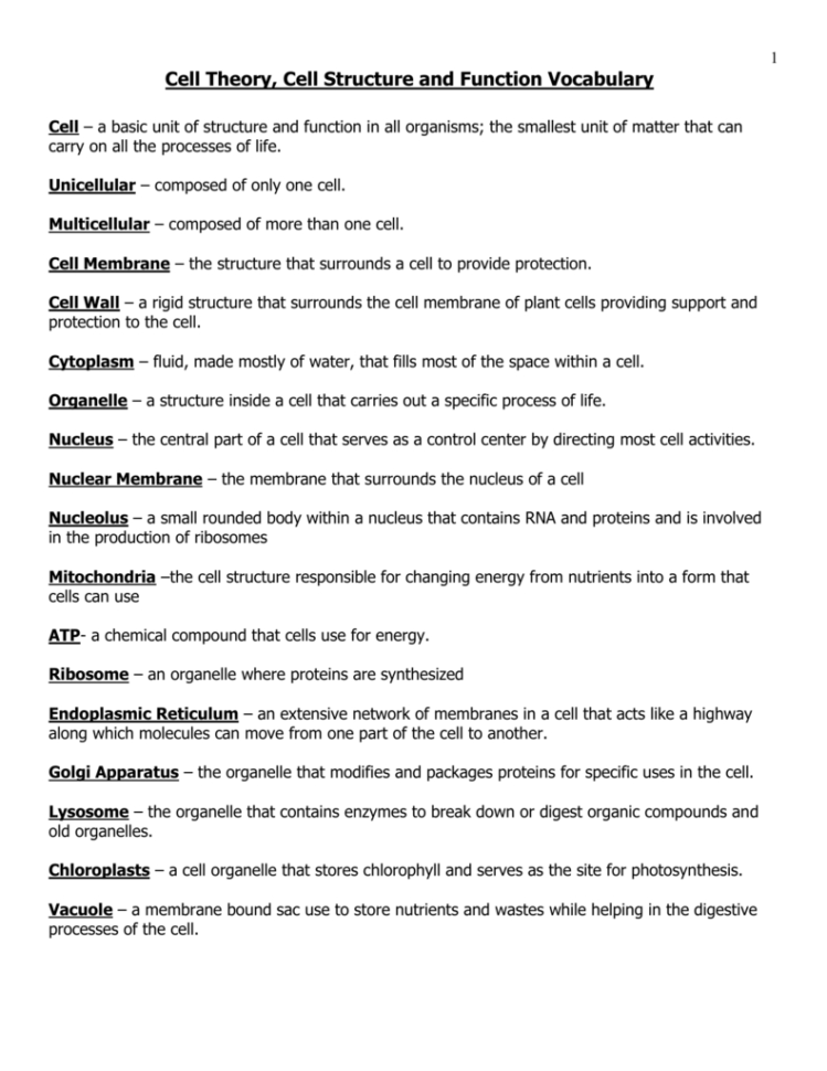Cell Theory Cell Structure And Function Vocabulary