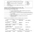 Cell Transport Review Active And Passive Transport Worksheet