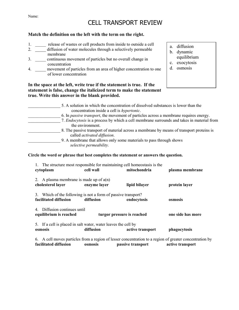 active-transport-worksheet-answers-db-excel