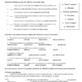 Cell Transport Review Active And Passive Transport Worksheet