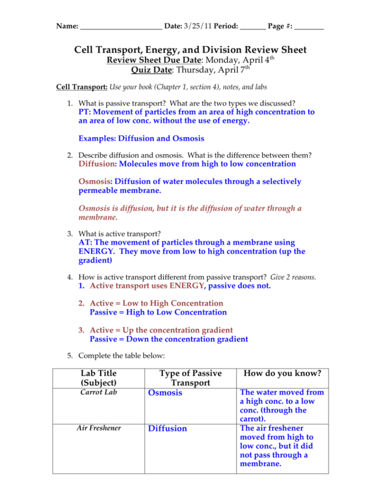 Cell Transport Review Sheet Answers