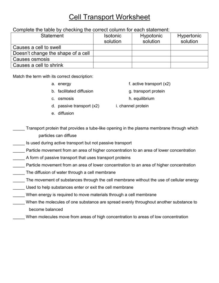 Cell Transport Review Worksheet