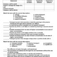 Cell Transport Review Worksheet Answers Stoichiometry